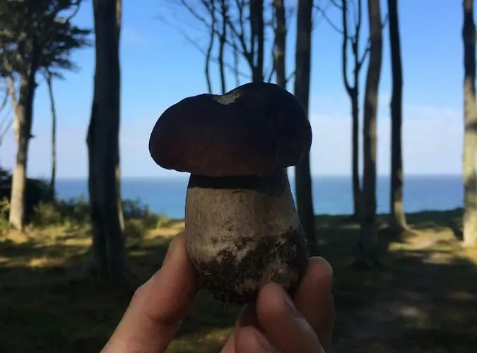 Morska Debina Nyaraló Debina (Ustka)